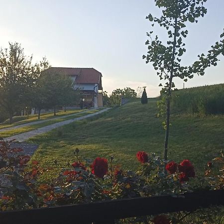 Apartmán Stari Trsic Exteriér fotografie