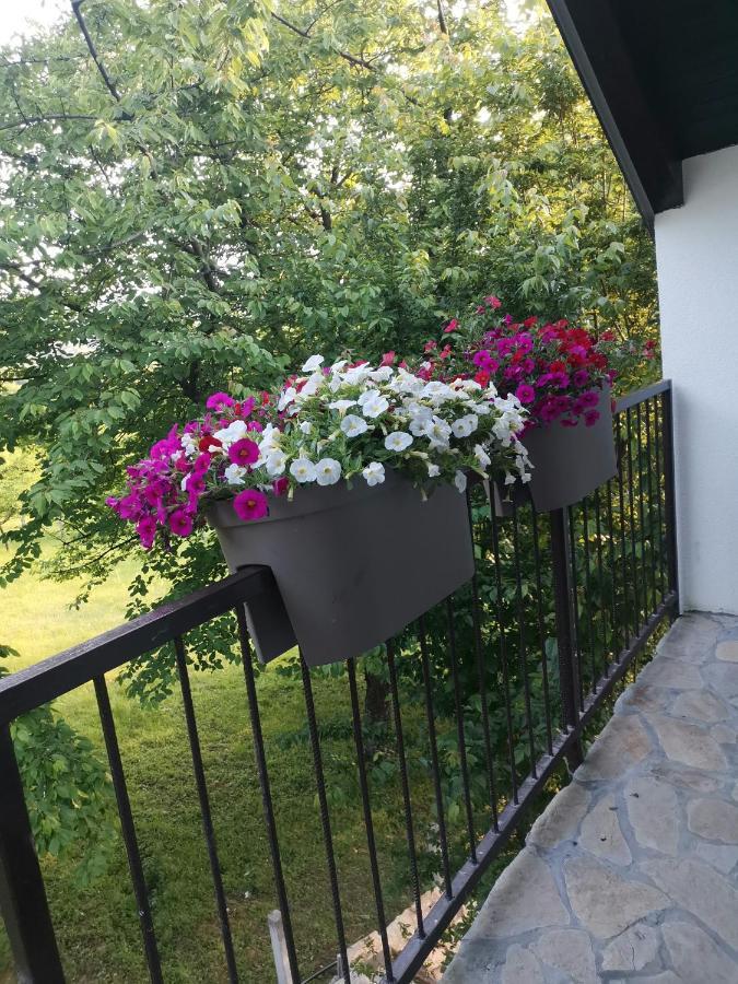 Apartmán Stari Trsic Exteriér fotografie