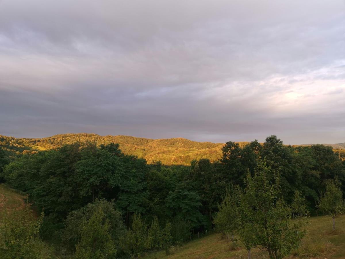 Apartmán Stari Trsic Exteriér fotografie